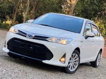 Toyota Axio hybrid