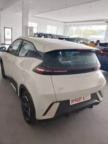 BYD 124 Spider