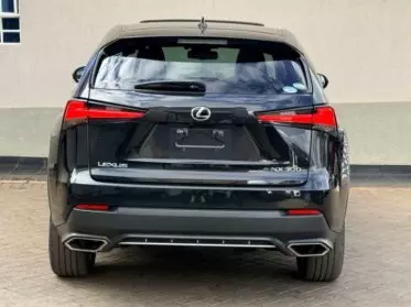 Lexus NX 300