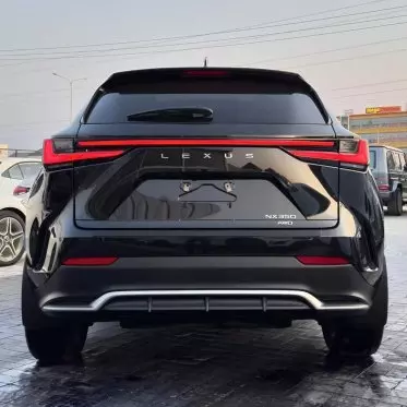 Lexus NX 300