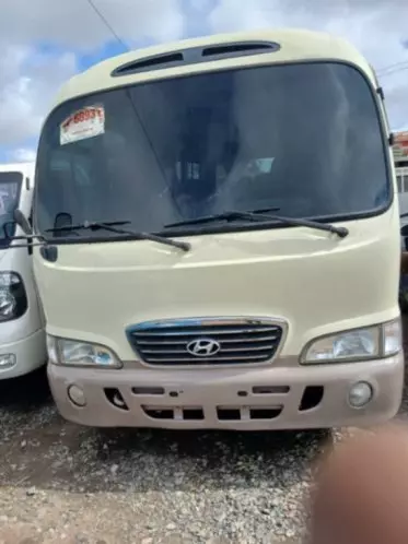 Hyundai county