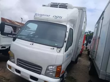 Hyundai Mighty