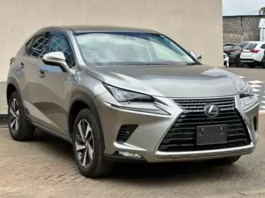 Lexus NX 300