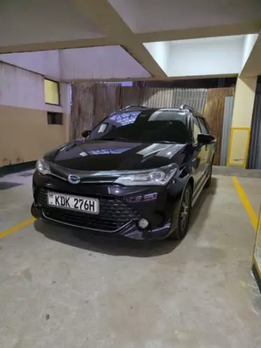 Toyota Fielder 