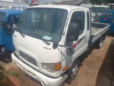 Hyundai Mighty