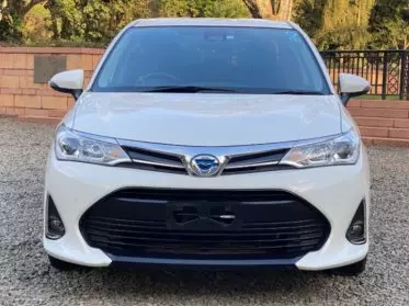 Toyota Axio hybrid