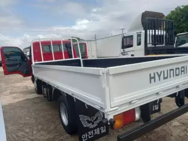 Hyundai Mighty