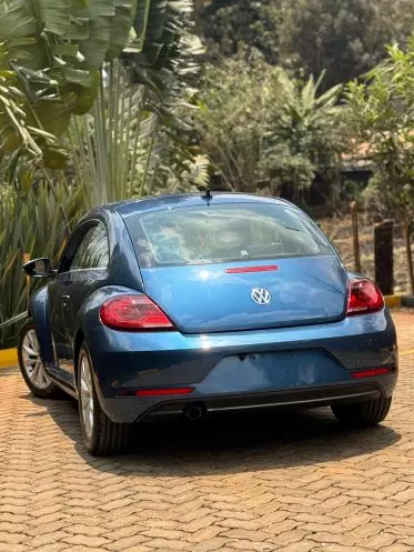 Volkswagen Beetle