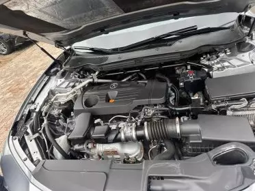 Acura TLX