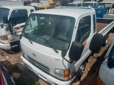Hyundai Mighty