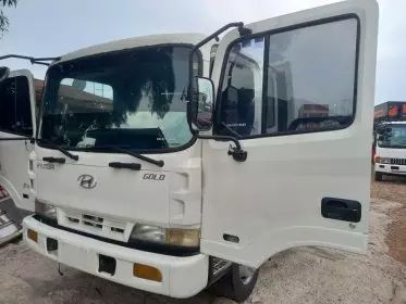 Hyundai Rhino