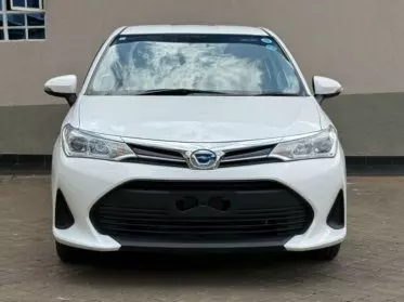 Toyota Axio 
