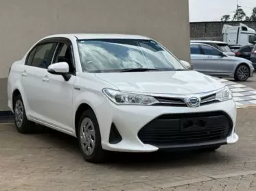 Toyota Axio 