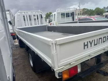 Hyundai Mighty