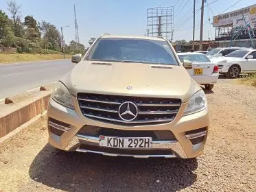 Mercedes-Benz ML 250