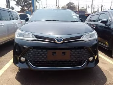 Toyota Fielder WXB