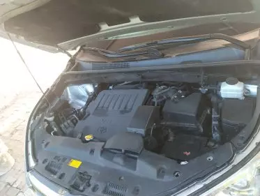 BYD 124 Spider