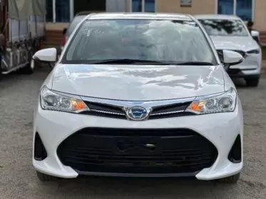 Toyota Axio 