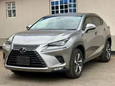 Lexus NX 300