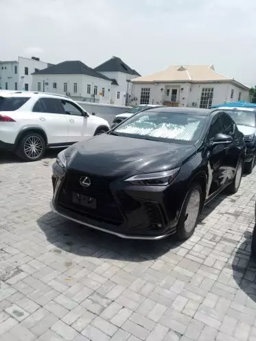 Lexus NX 300