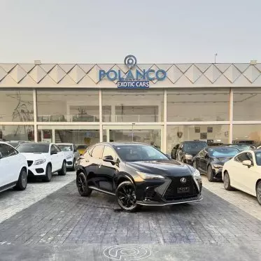 Lexus NX 300