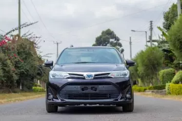 Toyota Fielder 