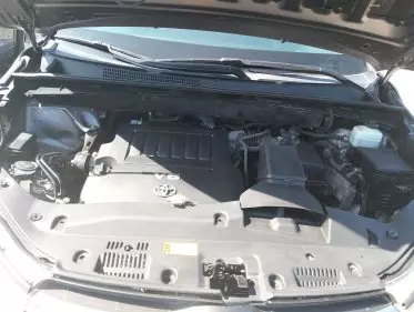 BYD 124 Spider