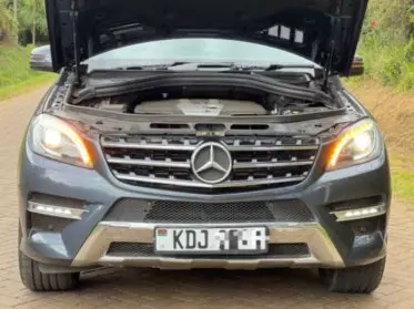 Mercedes-Benz ML 250
