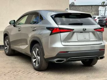 Lexus NX 300