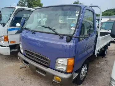 Hyundai Mighty