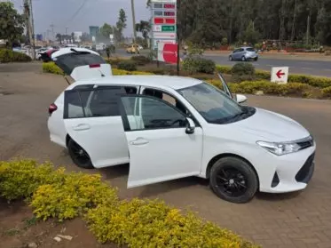 Toyota Fielder