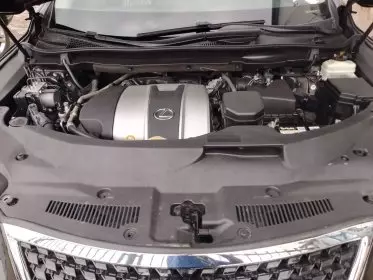BYD 124 Spider