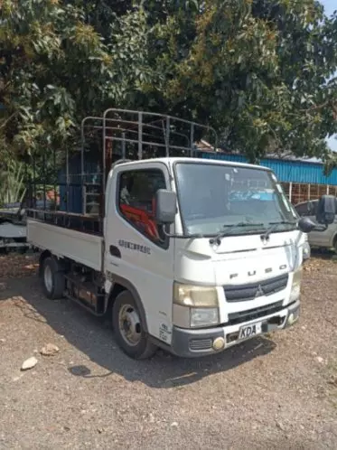 FUSO ROSA