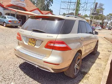 Mercedes-Benz ML 250