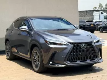 Lexus NX 200T