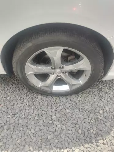 Toyota Venza
