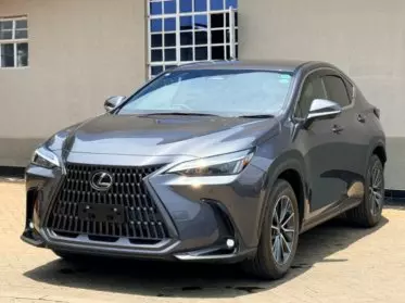 Lexus NX 200T