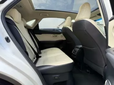 Lexus NX 300