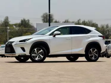 Lexus NX 300