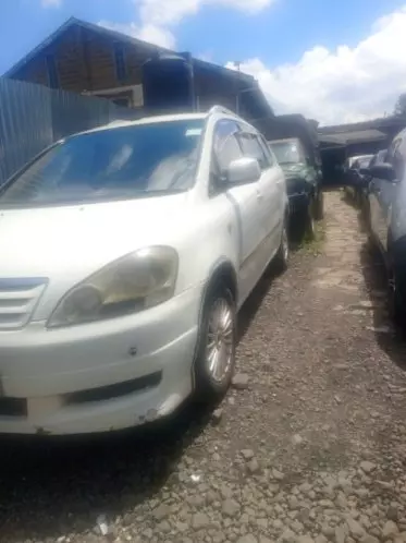 Toyota Ipsum