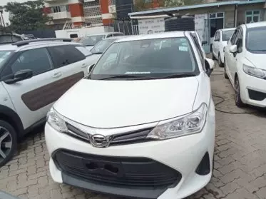 Toyota Axio 