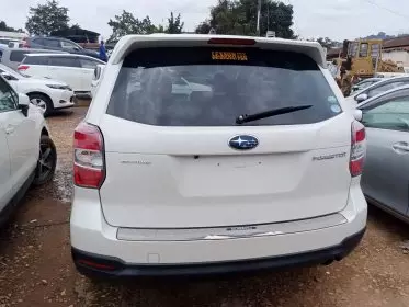 BYD 124 Spider