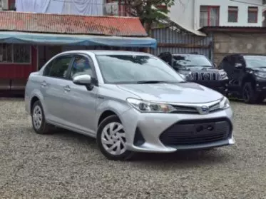 Toyota Axio 
