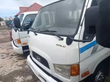 Hyundai Mighty