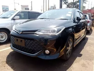 Toyota Fielder WXB