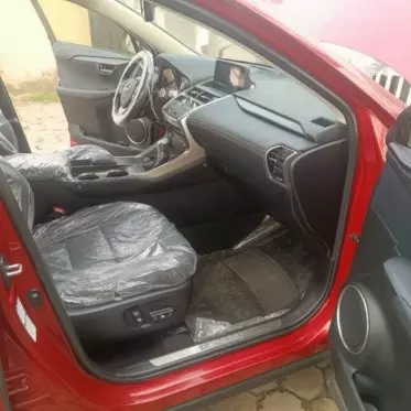 Lexus NX 300