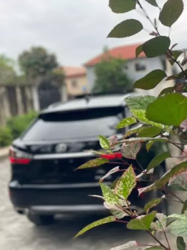 Lexus RX 350H