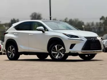 Lexus NX 300