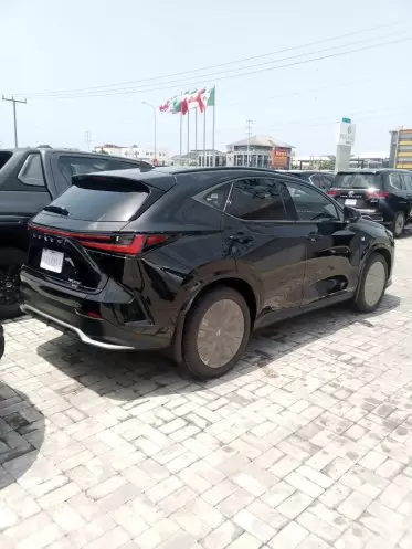 Lexus NX 300
