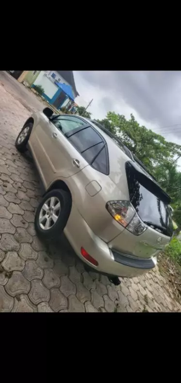 Lexus RX 350